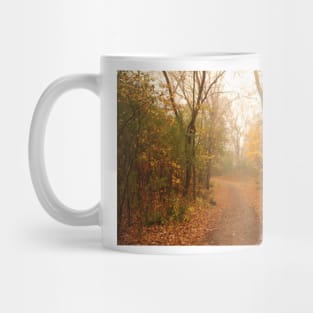 Down the leafy path - Minnehaha Creek - Minneapolis, Minnesota Mug